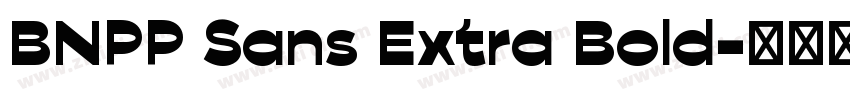 BNPP Sans Extra Bold字体转换